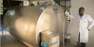 Best Milk Cooling Tanks For Sale In Kenya - KEBS Certified 